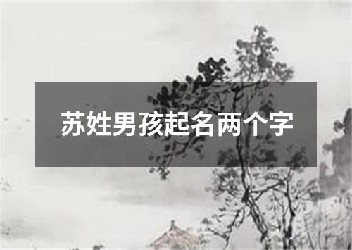 苏姓男孩起名两个字