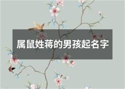 属鼠姓蒋的男孩起名字