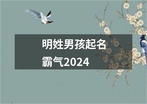 明姓男孩起名霸气2024