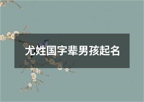 尤姓国字辈男孩起名