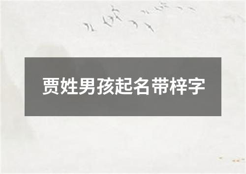 贾姓男孩起名带梓字