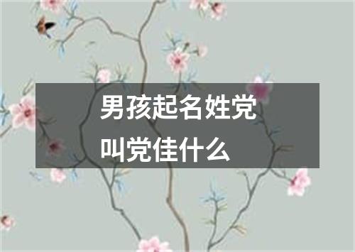 男孩起名姓党叫党佳什么