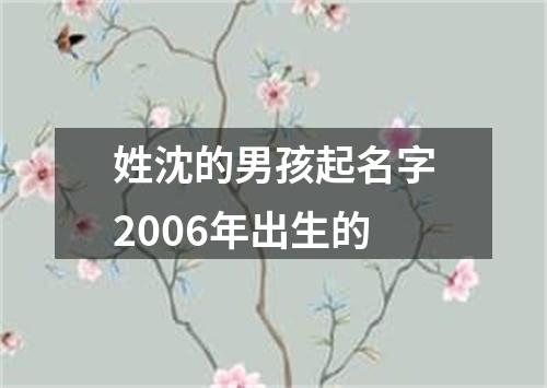 姓沈的男孩起名字2006年出生的