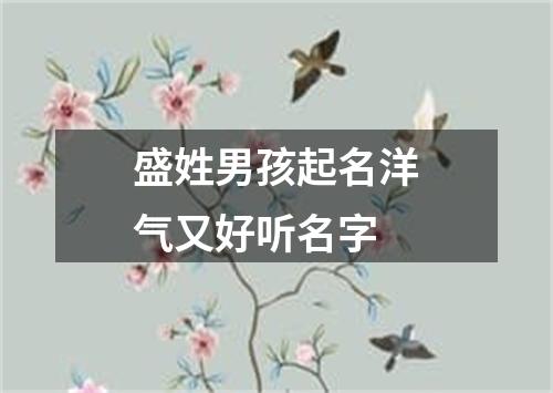 盛姓男孩起名洋气又好听名字