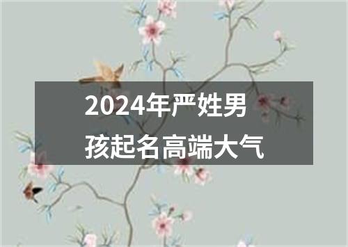 2024年严姓男孩起名高端大气