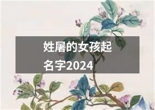 姓屠的女孩起名字2024