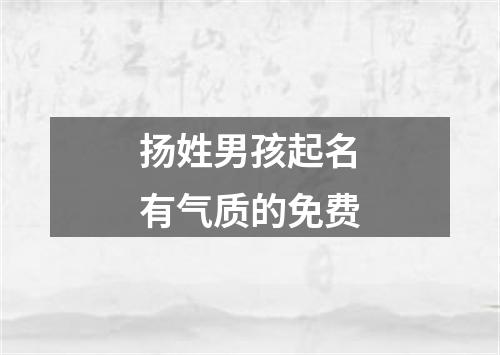 扬姓男孩起名有气质的免费