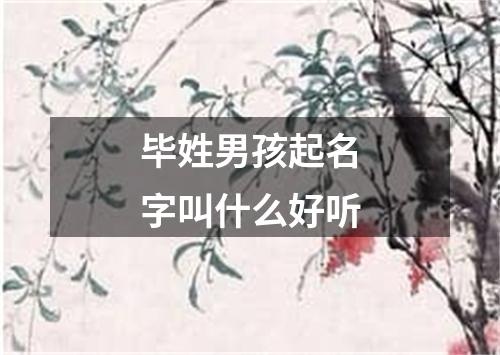 毕姓男孩起名字叫什么好听