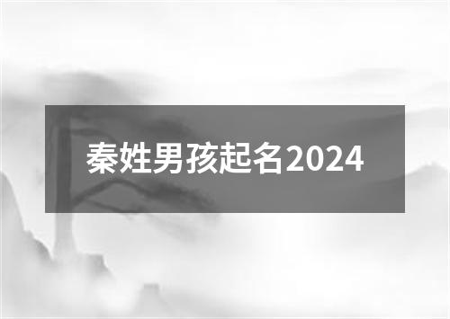 秦姓男孩起名2024