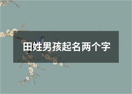 田姓男孩起名两个字