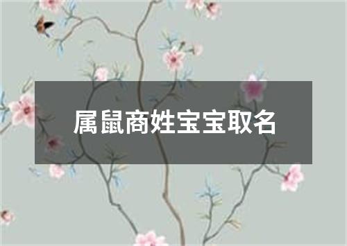 属鼠商姓宝宝取名