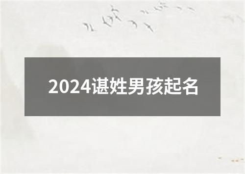 2024谌姓男孩起名