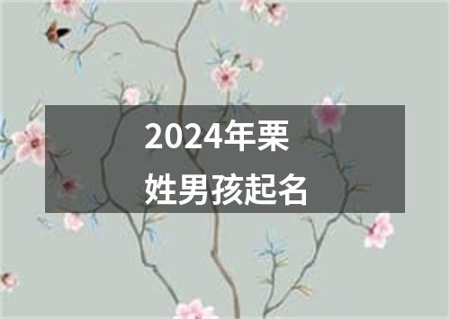 2024年栗姓男孩起名