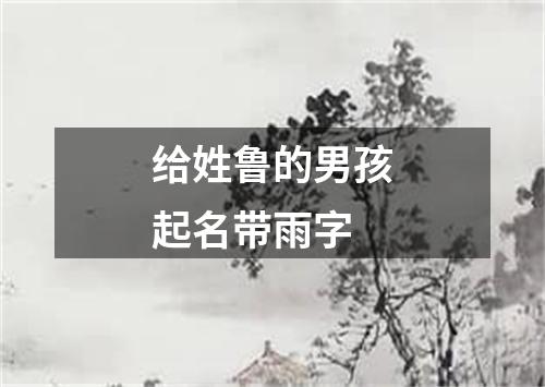 给姓鲁的男孩起名带雨字