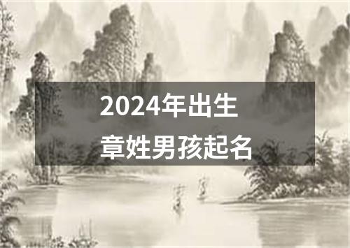 2024年出生章姓男孩起名