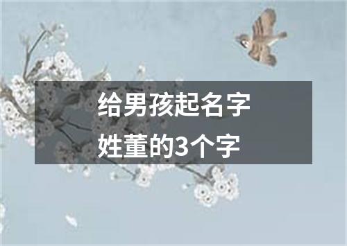 给男孩起名字姓董的3个字