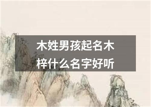 木姓男孩起名木梓什么名字好听