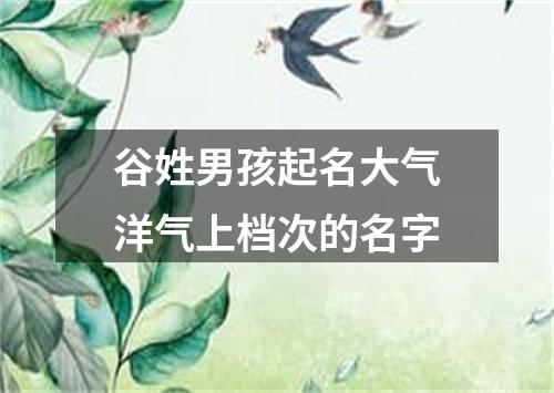 谷姓男孩起名大气洋气上档次的名字