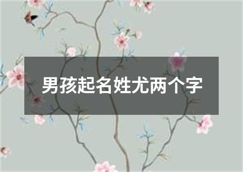 男孩起名姓尤两个字