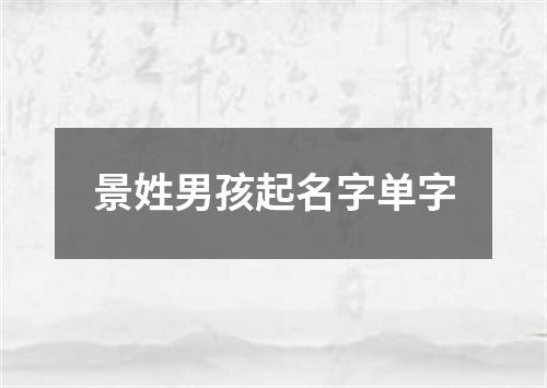 景姓男孩起名字单字