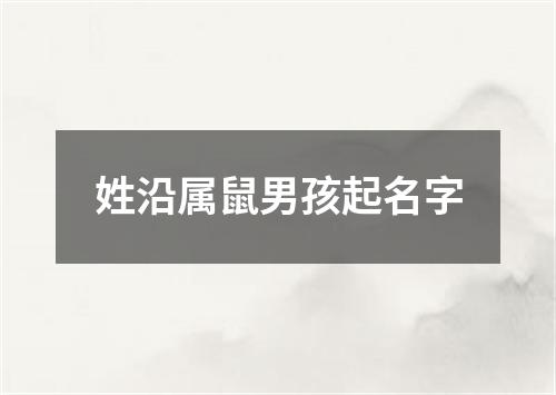 姓沿属鼠男孩起名字