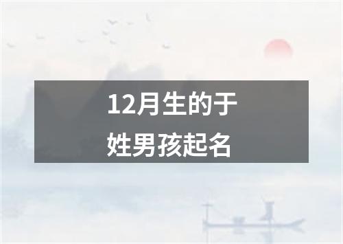 12月生的于姓男孩起名