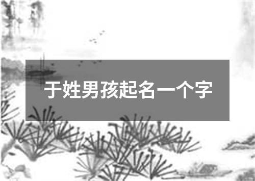 于姓男孩起名一个字