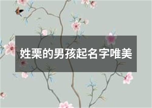 姓栗的男孩起名字唯美