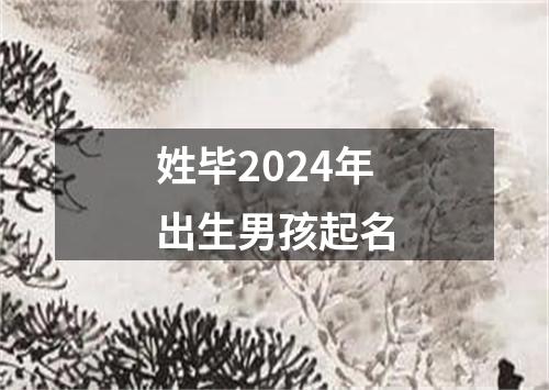 姓毕2024年出生男孩起名