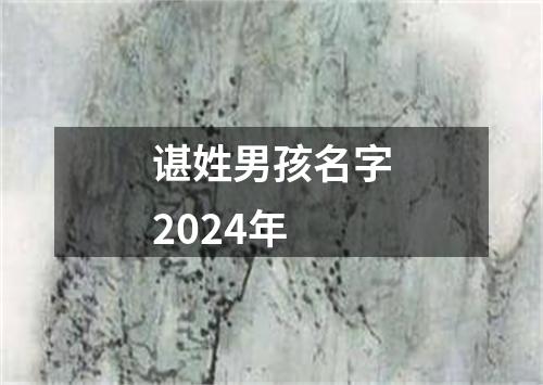 谌姓男孩名字2024年