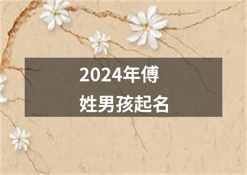 2024年傅姓男孩起名