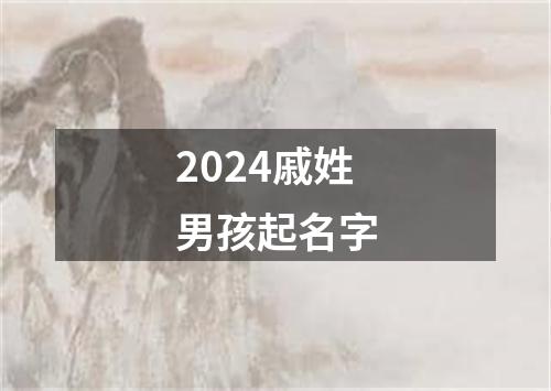 2024戚姓男孩起名字