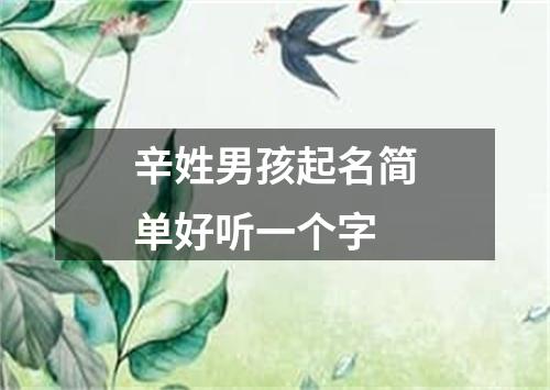 辛姓男孩起名简单好听一个字