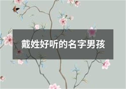 戴姓好听的名字男孩