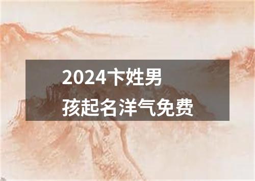 2024卞姓男孩起名洋气免费