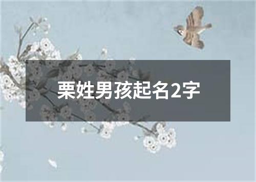 栗姓男孩起名2字