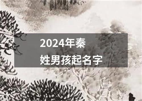 2024年秦姓男孩起名字