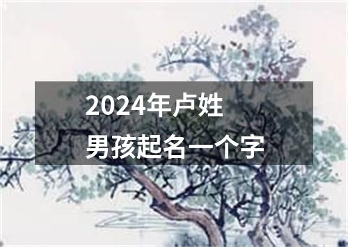 2024年卢姓男孩起名一个字