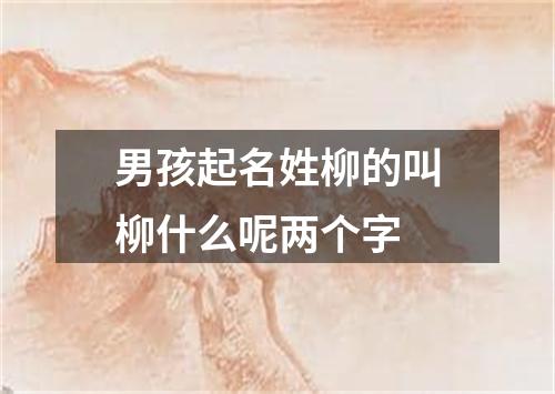 男孩起名姓柳的叫柳什么呢两个字