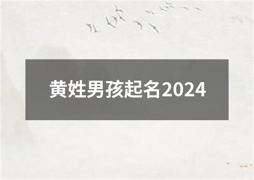 黄姓男孩起名2024