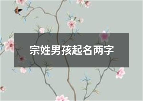 宗姓男孩起名两字