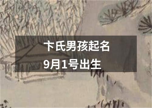 卞氏男孩起名9月1号出生