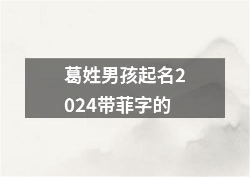 葛姓男孩起名2024带菲字的