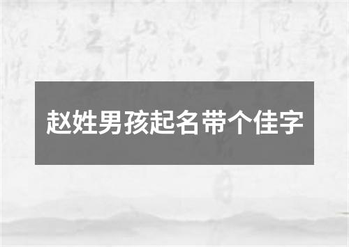 赵姓男孩起名带个佳字