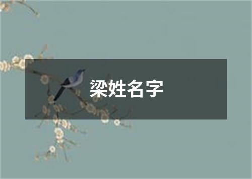 梁姓名字