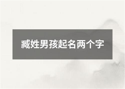 臧姓男孩起名两个字