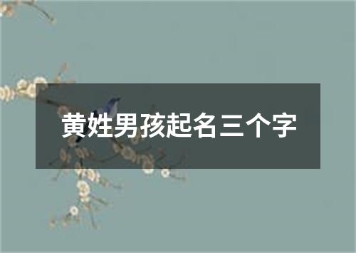 黄姓男孩起名三个字