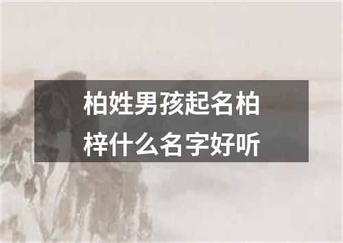 柏姓男孩起名柏梓什么名字好听