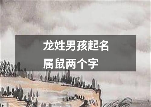 龙姓男孩起名属鼠两个字