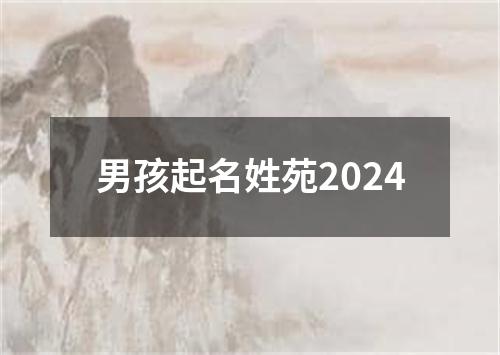 男孩起名姓苑2024